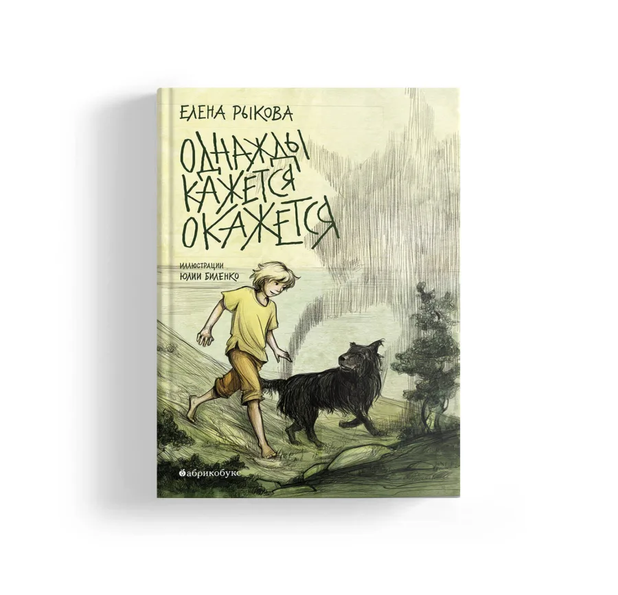 Однажды кажется окажется. Первая часть дилогии (мягкая обложка)