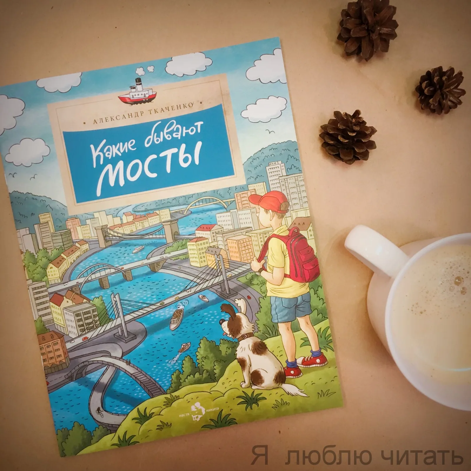 Какие бывают мосты