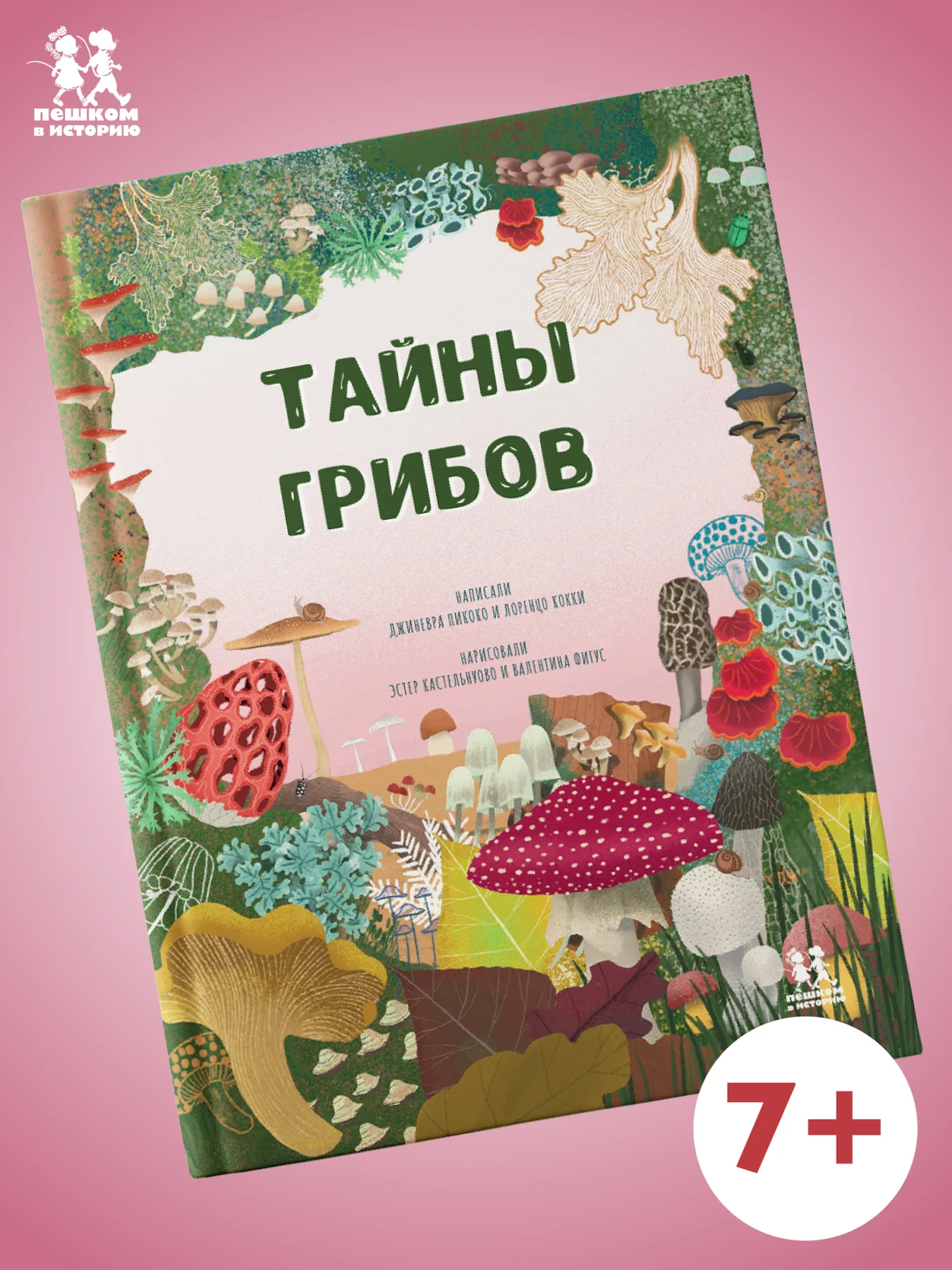 Тайны грибов