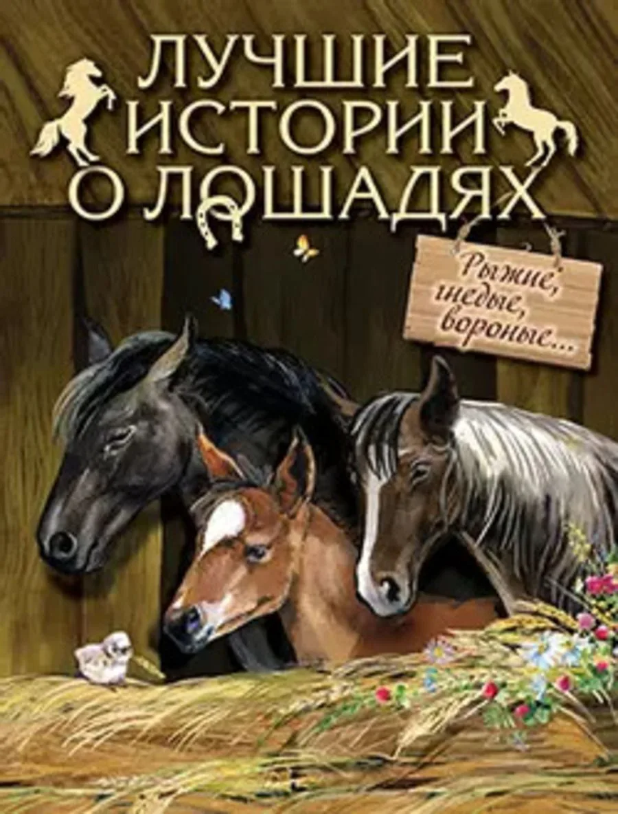 Лучшие истории о лошадях. Рыжие, гнедые, вороные…